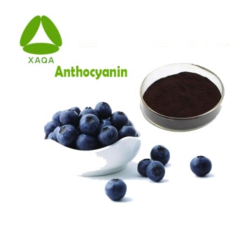Anti-oxidant 10:1 Blueberry Extract Juice Powder