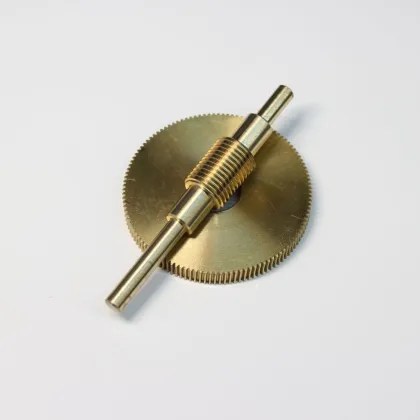 Customized CNC Machining Services for Small Worm Drive Gears in China