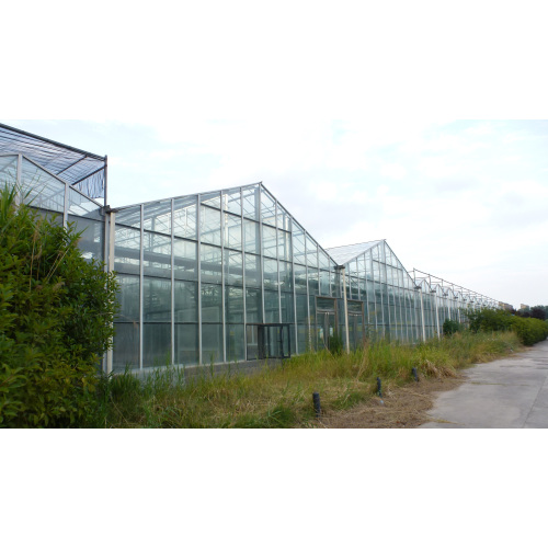 Agricultural Ecological Park Greenhouse