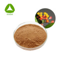 Pleurisy Root Extract Powder Asclepias curassavica L.