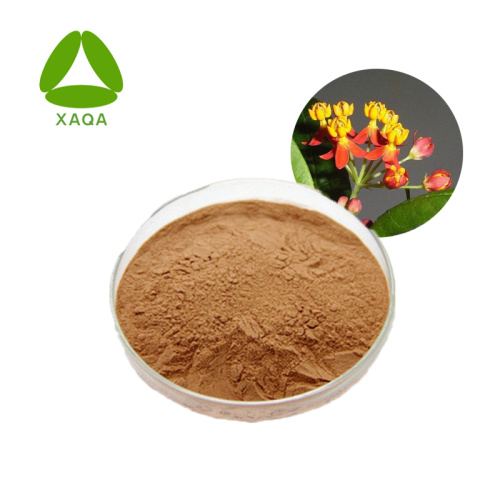 Poudre de la pleurésie Root Powder Asclepias Curassavica L.