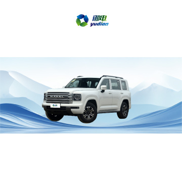 Chiny zupełnie nowe 5-drzwiowe 5-lewą 5-lewą benzynowy SUV