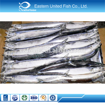 Hot Sale canned saury