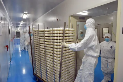 Egg Incubators Direct: Your Source for Hatching Equipment