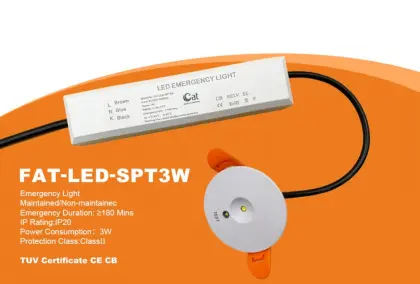 3W Emergency LED Light