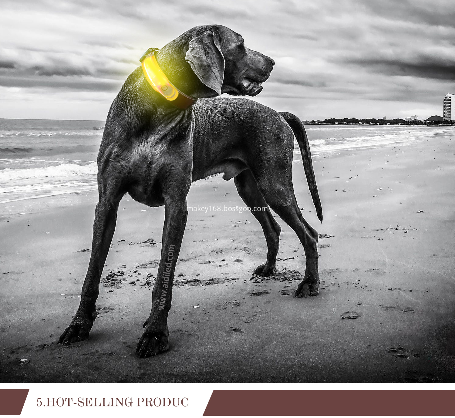 Pet Collar Led Lights Pet Collar Led Lights