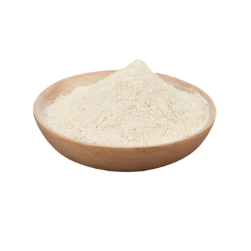 Polvere di patate dolci essiccate in polvere vegetale