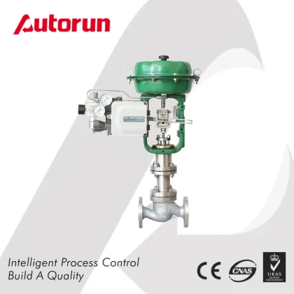 Control Valves: Pneumatic Water and Steam Regulation Solutions