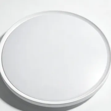 Frosted cover LED ceiling lamp