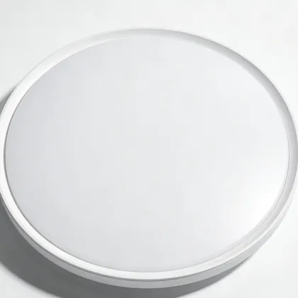 Smart control LED ceiling light