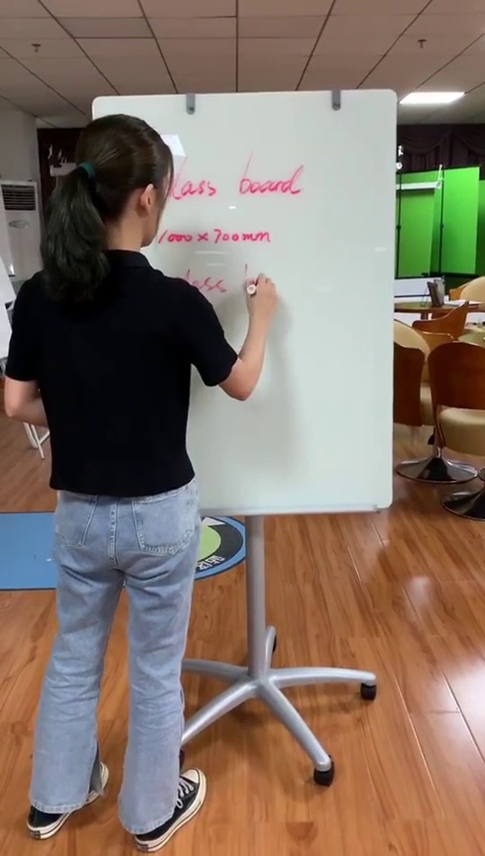 Professional Flipchart Easel for Mobile Versatile Magnetic