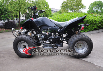 250cc atv cdi ignition (CE Certification Approved)