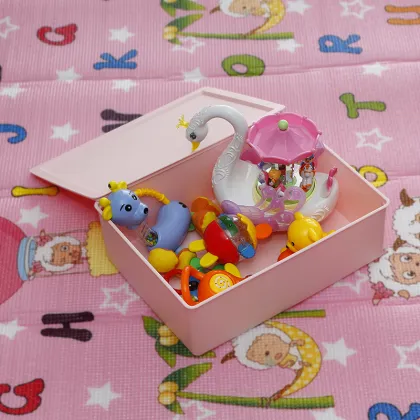 Plastic Bra Organizer Storage Box