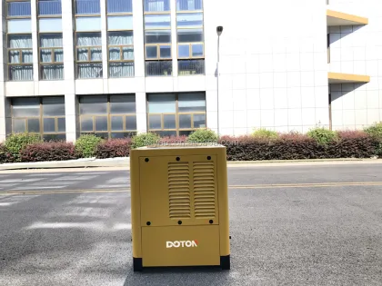 Doton 24KW Big Power Diesel Generator Set With Global Warranty
