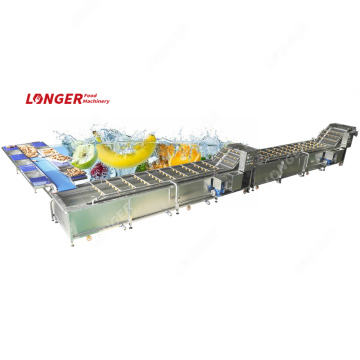 Using a Fruit Washing Machine for Melon Cleaning and Watermelon Washing