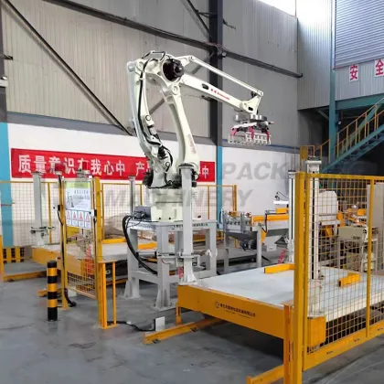 ABB Estun Palletizer Stacking Machine for Cement Bags and Carton Cases