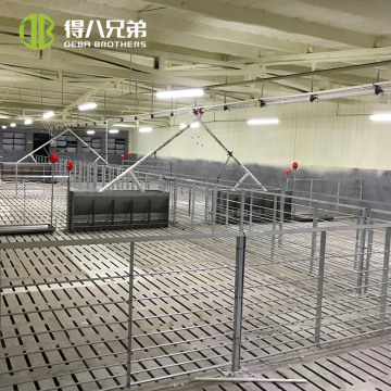 Pig Equipment for Fattening Stalls and Boar Pens