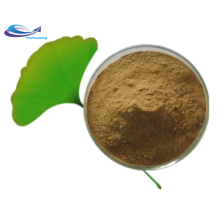 Raw Powder CAS 90045-36-6 Herbal Ginkgo Biloba Extract