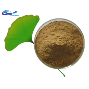 Raw Powder CAS 90045-36-6 Herbal Ginkgo Biloba Extract