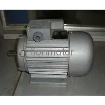 General Electric Motor YC Series