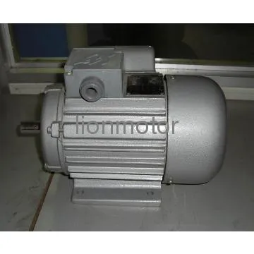 General Electric Motor YC Series