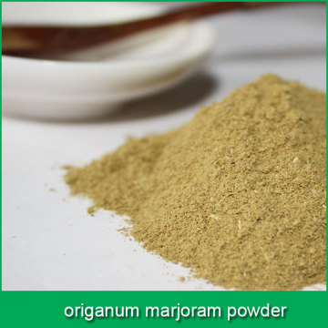 origanum marjoram powder