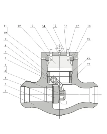 Pressure Seal Swing Check Valve