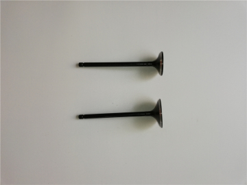 Jac J5 MT 1.5L Engine Valve 1003013GG010
