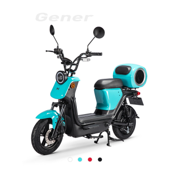 Electric Motorcycle for Sale: LVNENG EEC COC Adult Hub Motor Bike