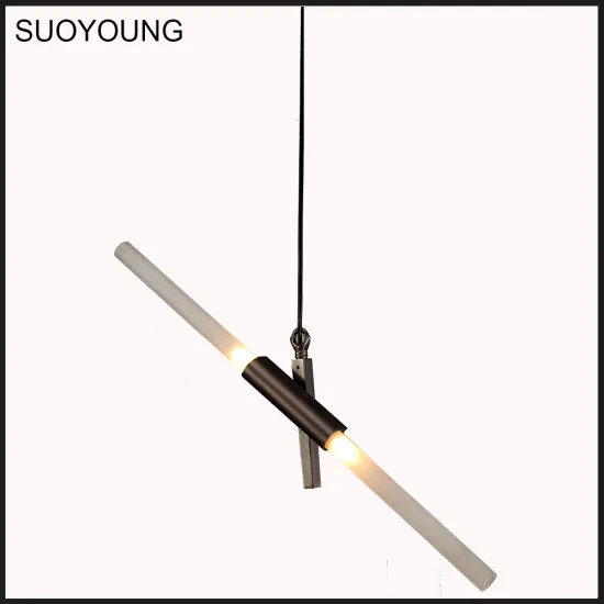 Fancy Modern Interior Decor Pendant Lights (MD8058-2)