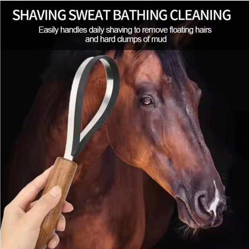 لوازم اسب سواری چوب دندانه دار بلند