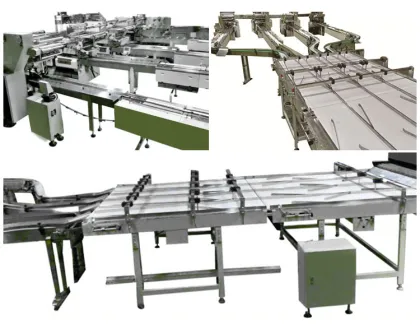 Maggi and Other Noodles Automatic Packing Machine