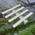 Top 600W COB Led Grow Light Samsung