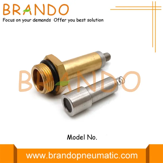 LPG CNG 9mm OD Brass Plunger Iron Core