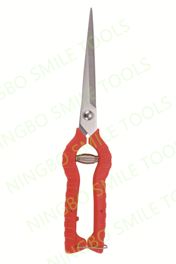 Mexico popular orchard shears fruit branch scissors multifunctional garden scissors comfortable handle gardening scissor