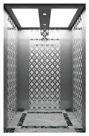 CE Certified Traction Residential Elevators for 2 Stories