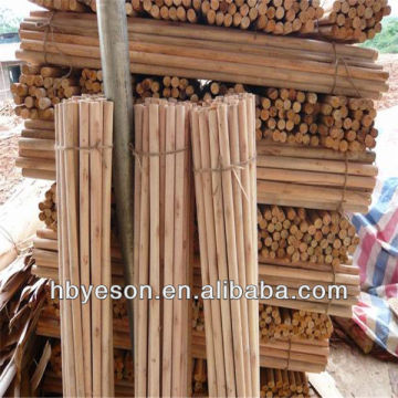 colorful broom handles