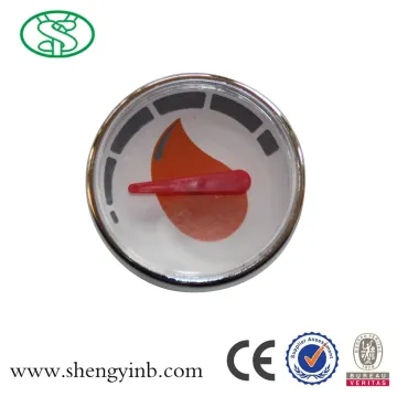 shining waterproof abs thermometer