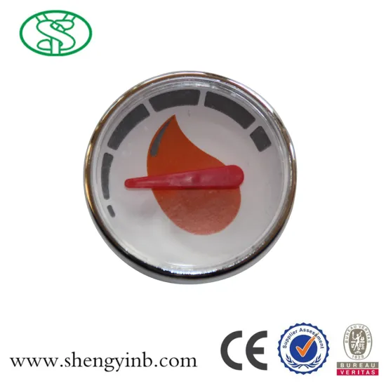 shining waterproof abs thermometer