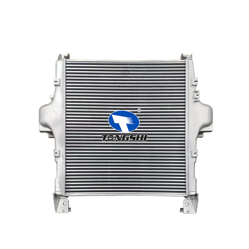 OEM 41218267 Aluminum Intercooler Core for IEVCO