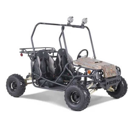 Tao Motor 125cc Chain Drive Adult Off-Road Buggy