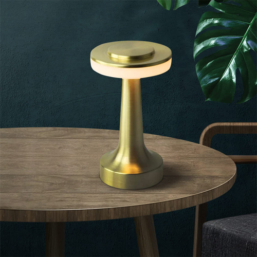 Lndoor Portable LED Table Lamp