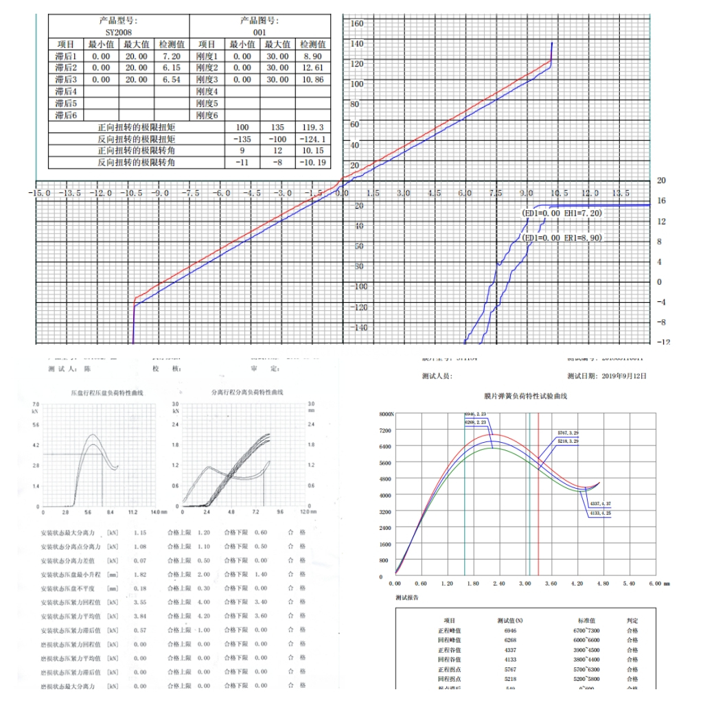 Test report