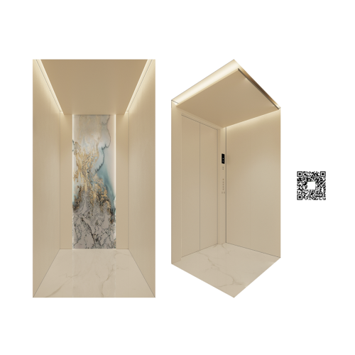 Capsules d'ascenseur domestique B