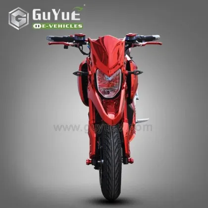 Adult Racing Electric Motorcycle