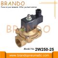 1'' 2W250-25 Brass Water Solenoid Valve 24V 220V