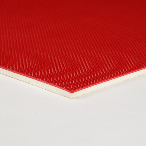 Red color table tennis court floor