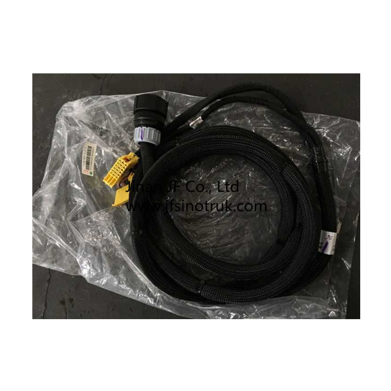 712W25455-6121 AMT HARNESS FOR SINOTRUK China Manufacturers