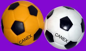 Dog Squeaky Footballs