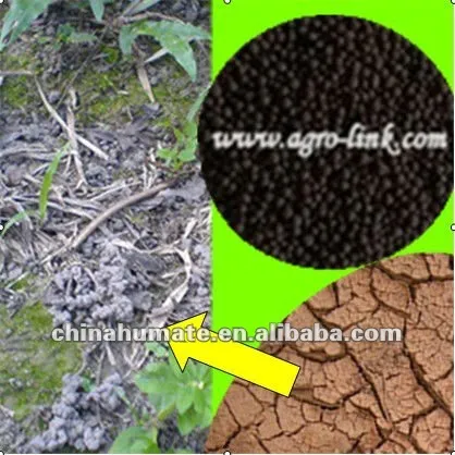 stive phosphorus hummus acid manure